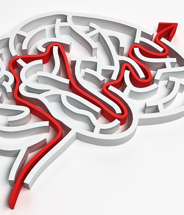 brain maze