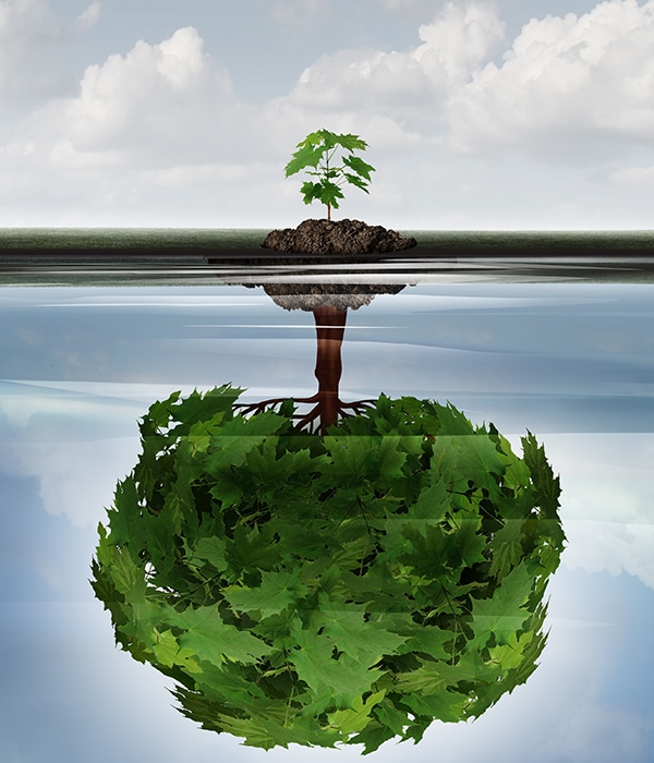 Potential Success Concept